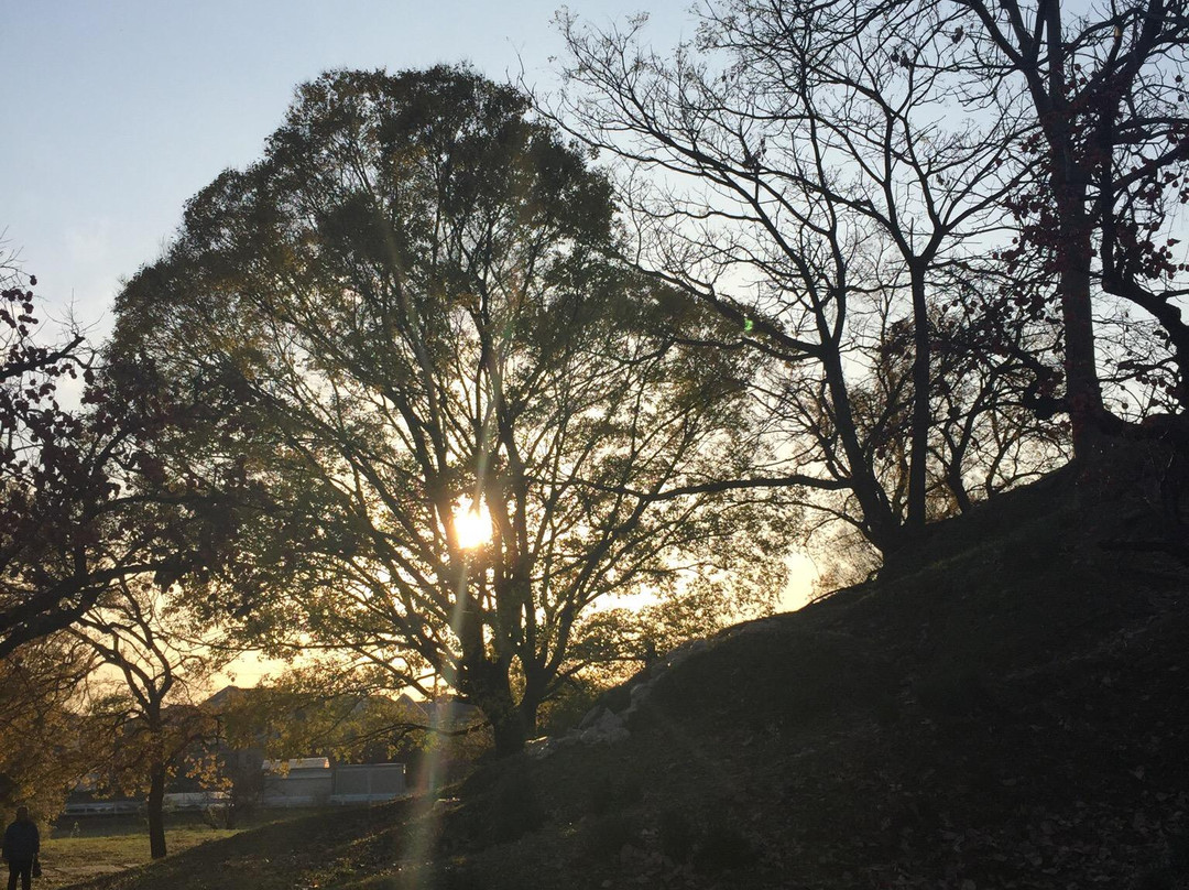 Tsudoshiroyama Ancient Tomb-藤井寺市必去景点