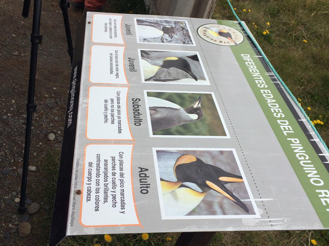 La Oveja Perdida Tour Company · Cafe-Porvenir必去景点