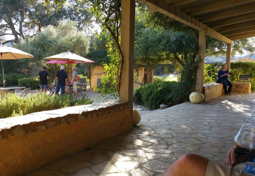 Santa Ynez Wine Trail-圣伊内斯必去景点