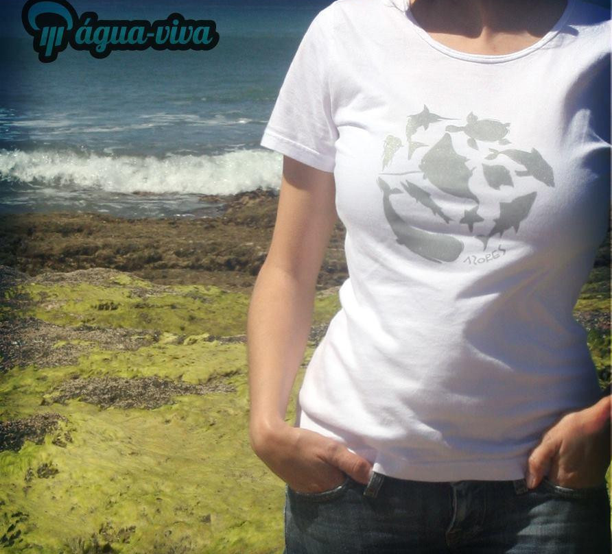 Água-Viva-Santa Maria必去景点