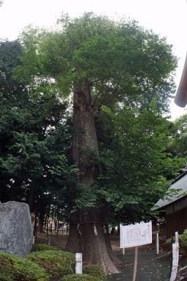 Fukami Shrine景点图片