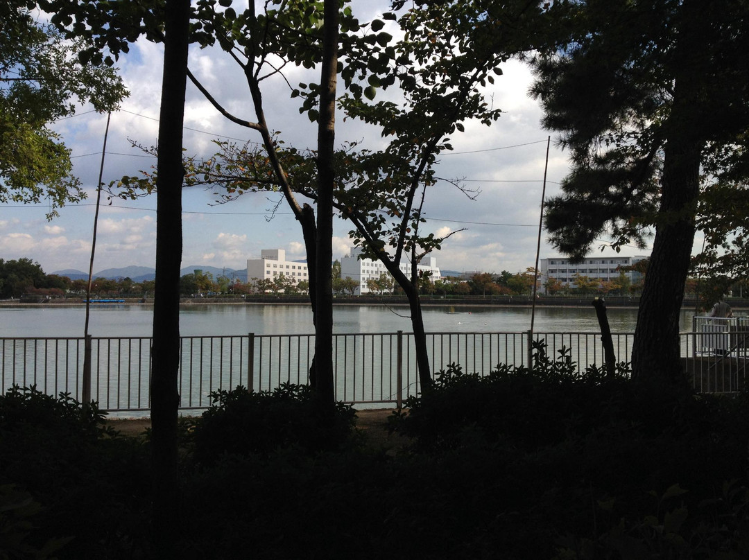 Koyaike Park-伊丹市必去景点
