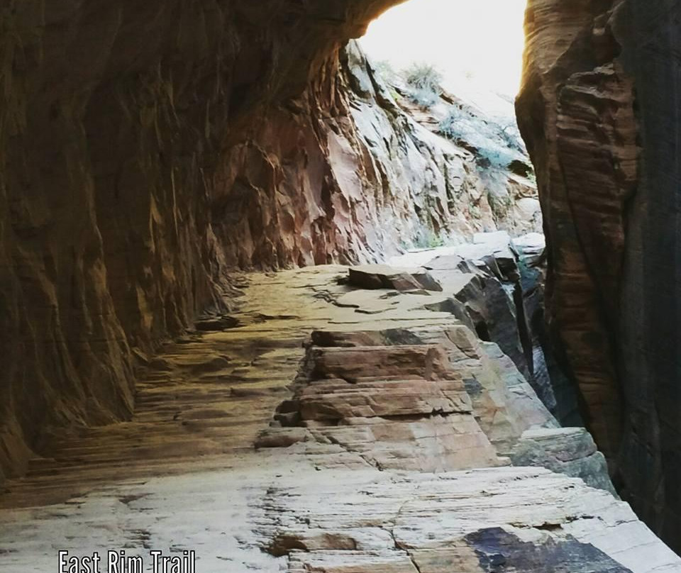 East Rim Trail-锡安国家公园必去景点