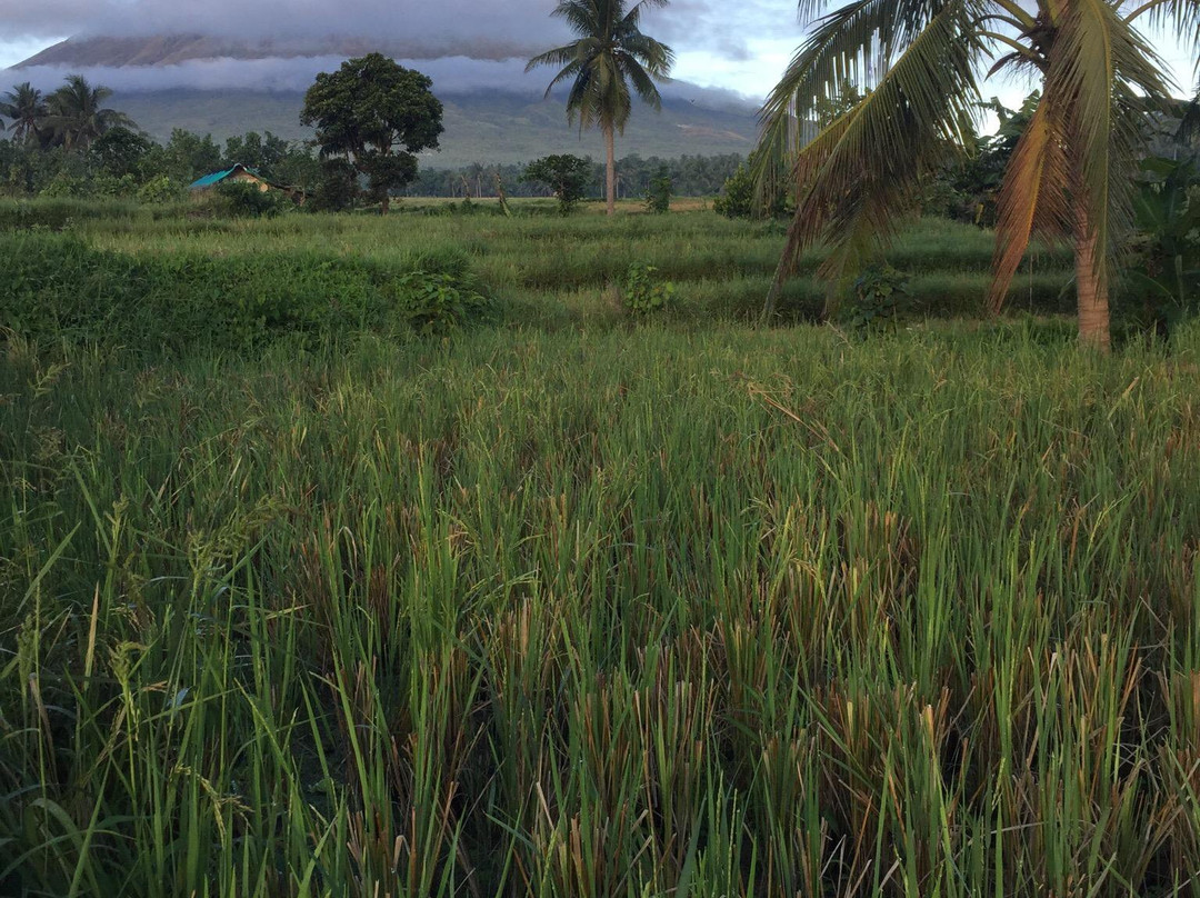 Mount Mayon-吕宋岛必去景点