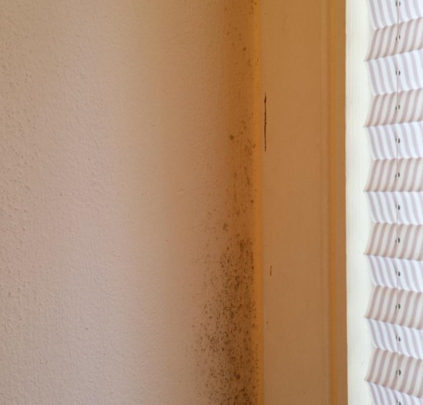 弗里德贝格博览会公园酒店主图