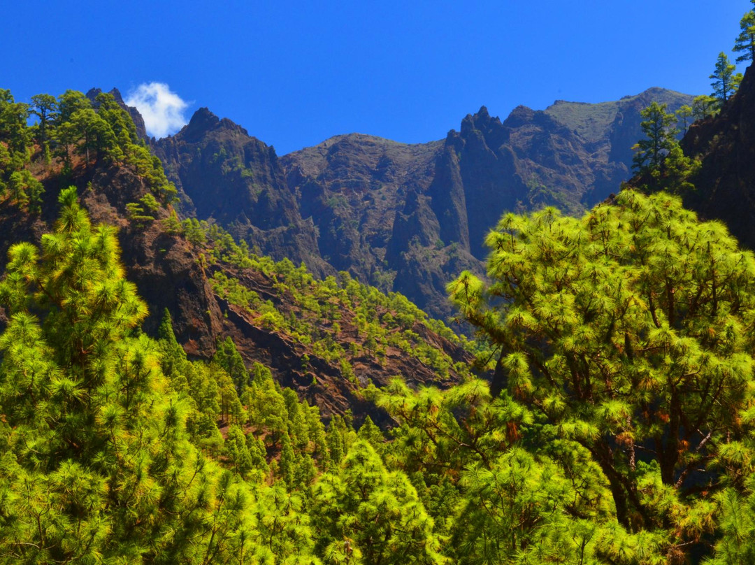 Caldera de Taburiente景点图片