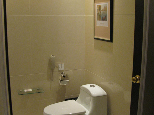 沈阳碧桂园凤凰酒店主图