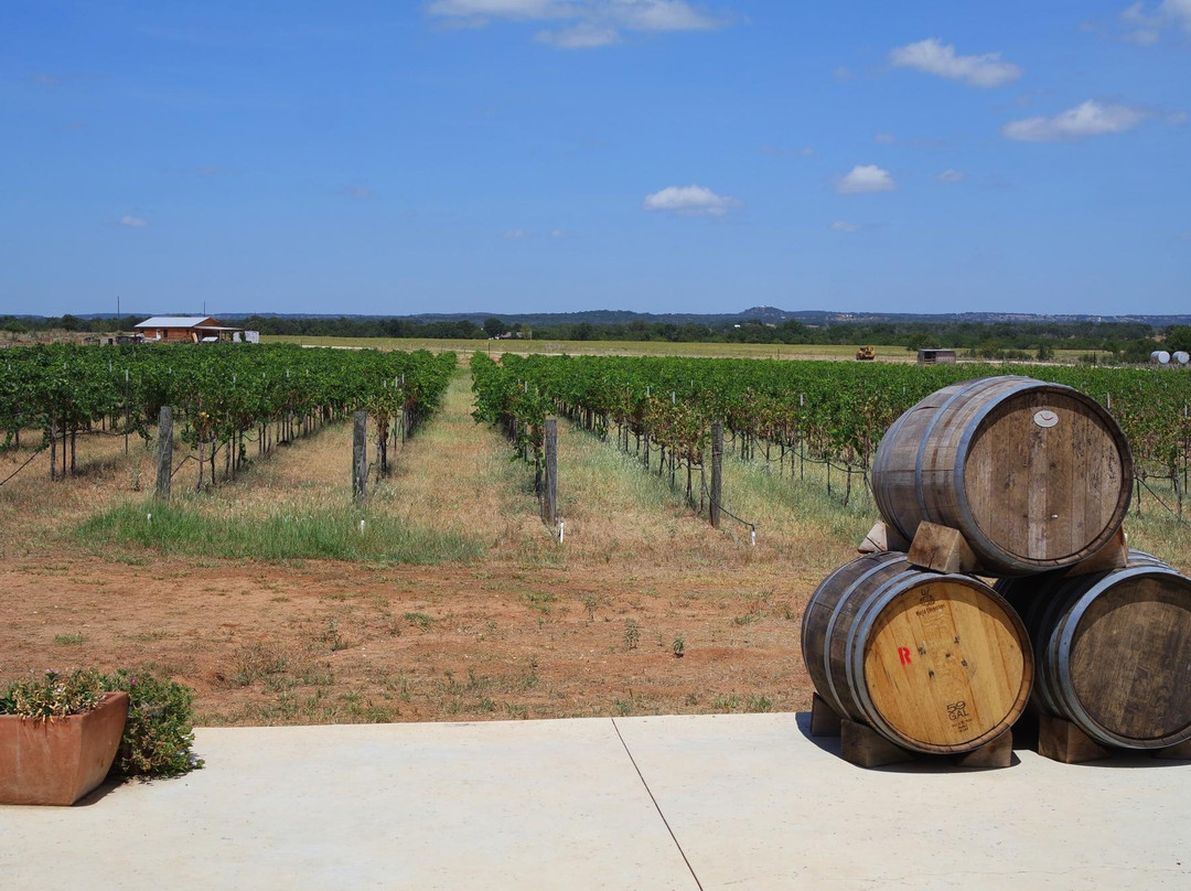 Hilmy Cellars-弗雷德里克斯堡必去景点