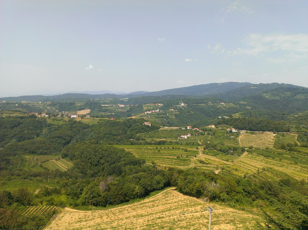 Loopy Slovenia-卢布尔雅那必去景点