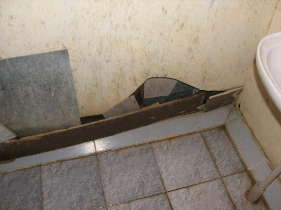 Anamalai Wild Life Sanctuary-Pollachi Town必去景点