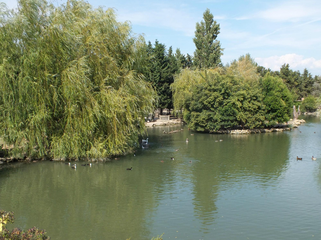 Parc Animalier L'Arche de Meo景点图片