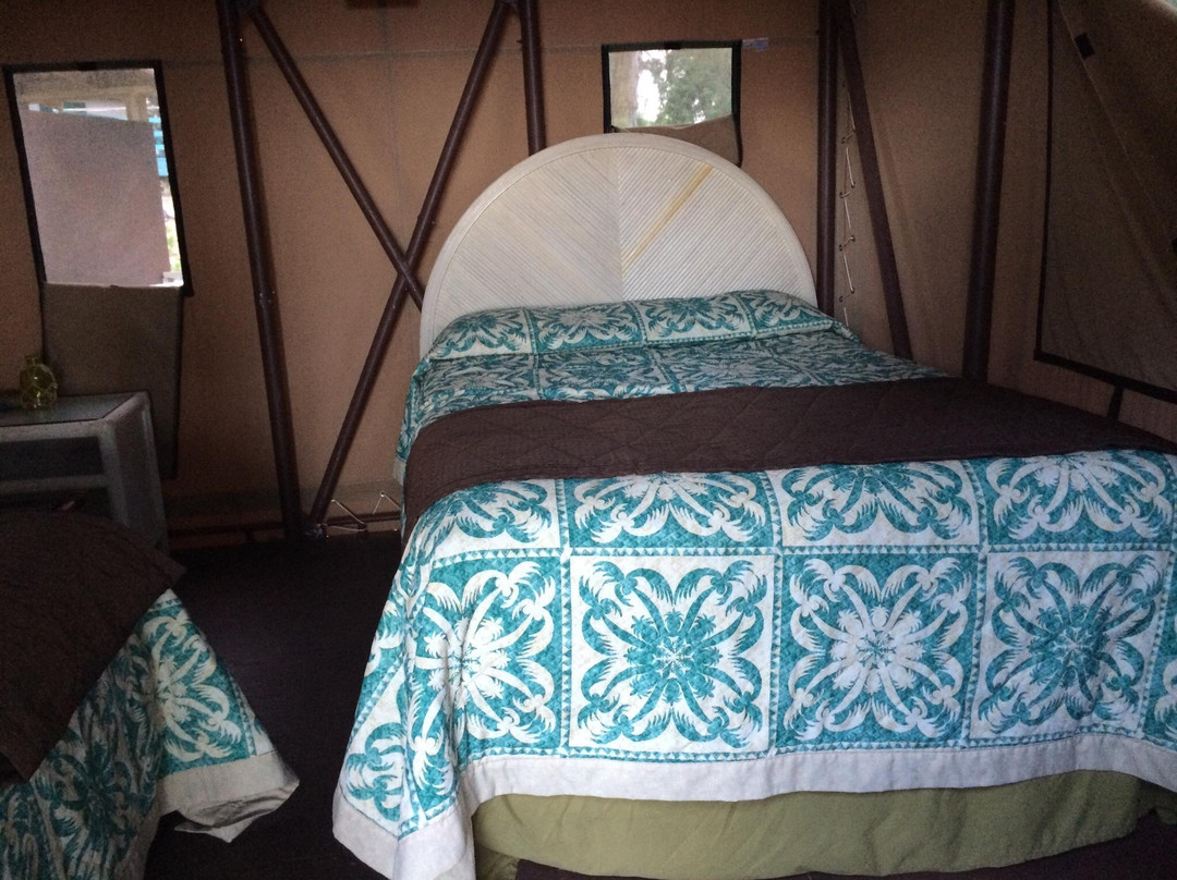 Kumu Camp at the Anahola Beach Retreat