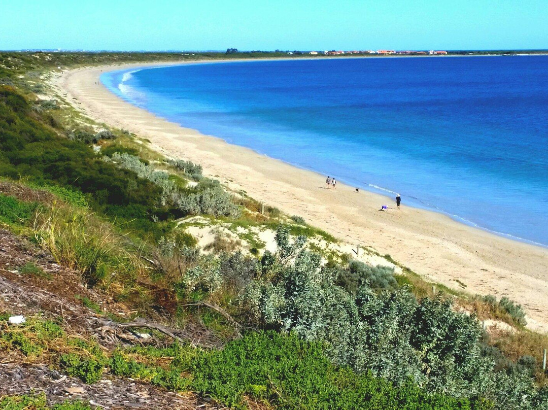 Warnbro旅游攻略图片