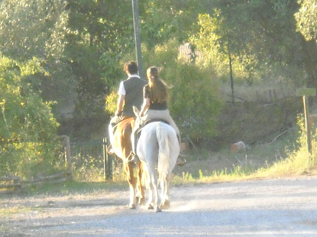 Agriturismo Fattoria San Bernardino主图