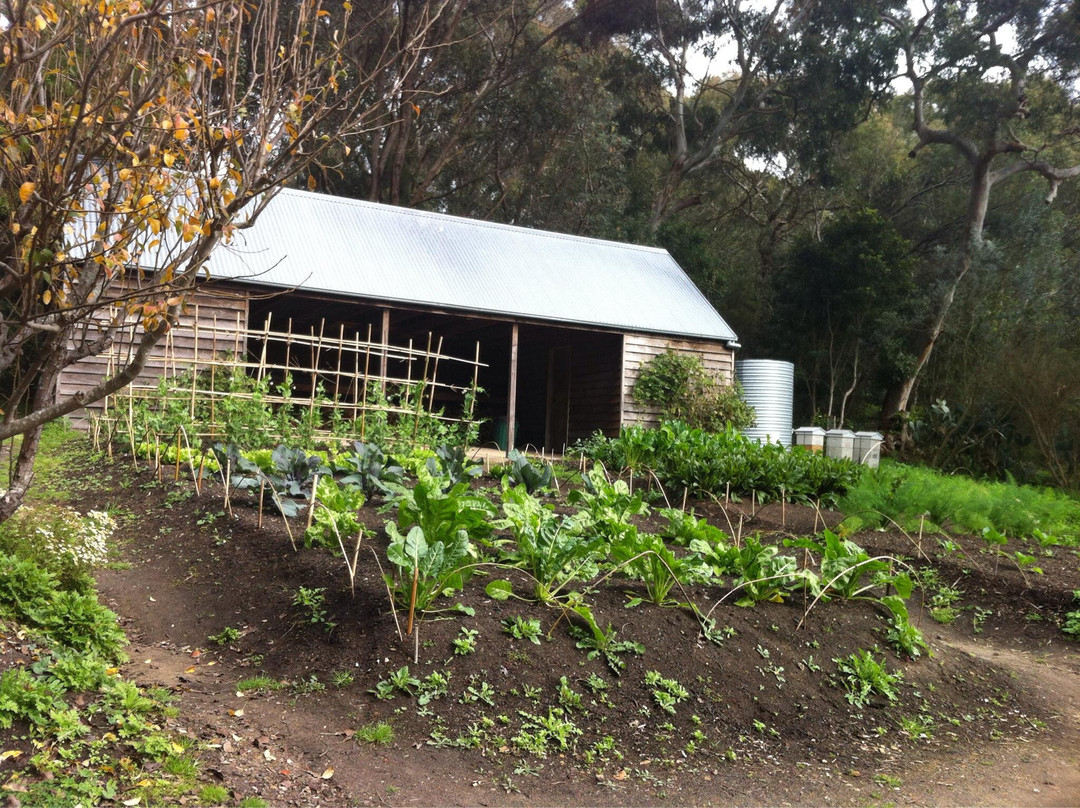 法克鲁斯宅邸-Vaucluse必去景点