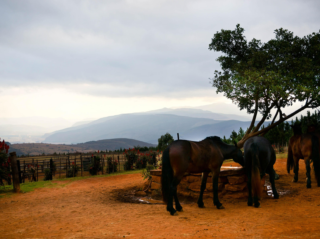 Kaapsehoop Horse Trails Day Trips-Kaapsehoop必去景点