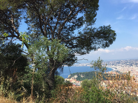 Parc forestier du Mont-Boron-尼斯必去景点