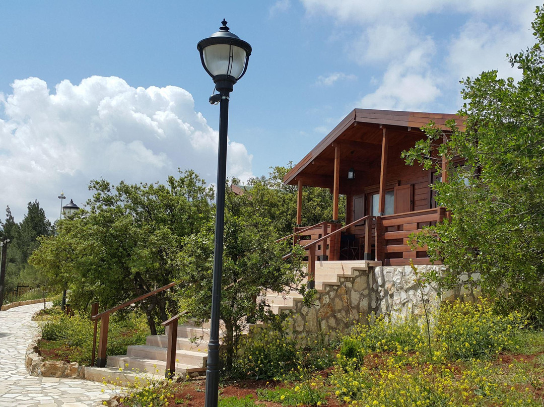 Al Salt酒店住宿-Mountain Breeze Lodge & Resort