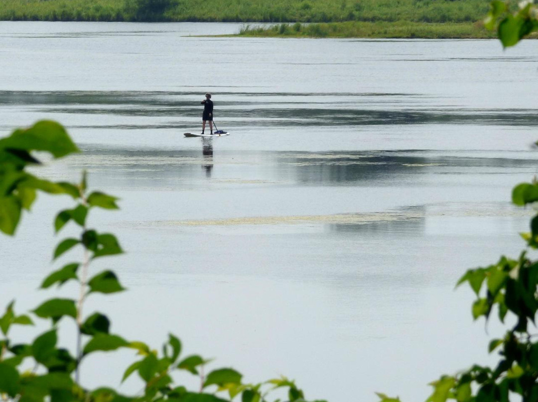 Terry Trueblood Recreational Area-爱荷华城必去景点
