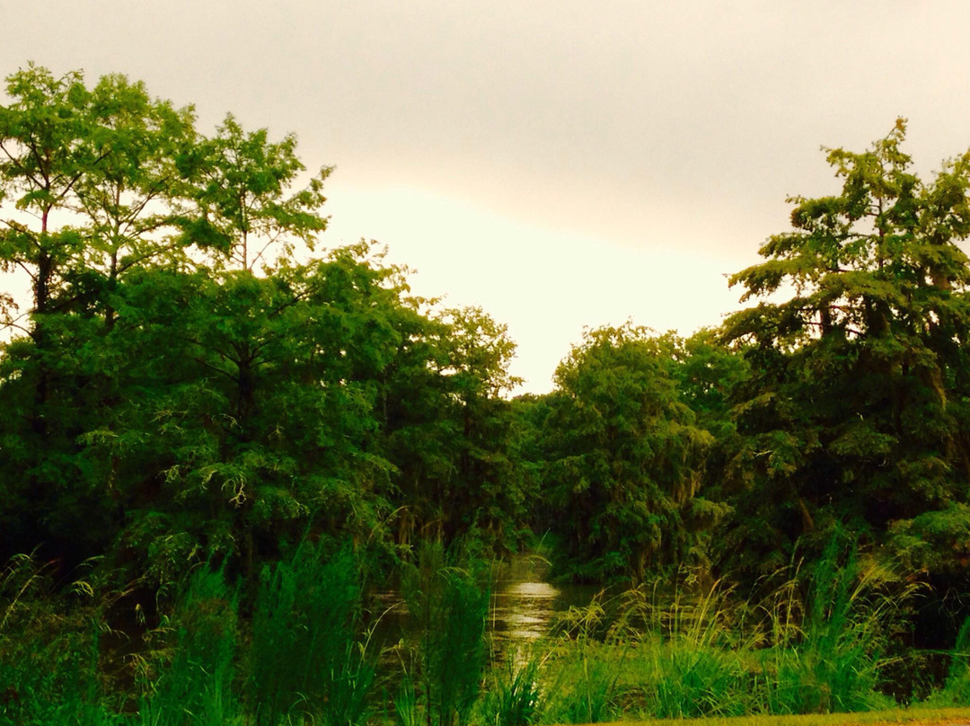 Lake Blackshear Resort Golf Club景点图片