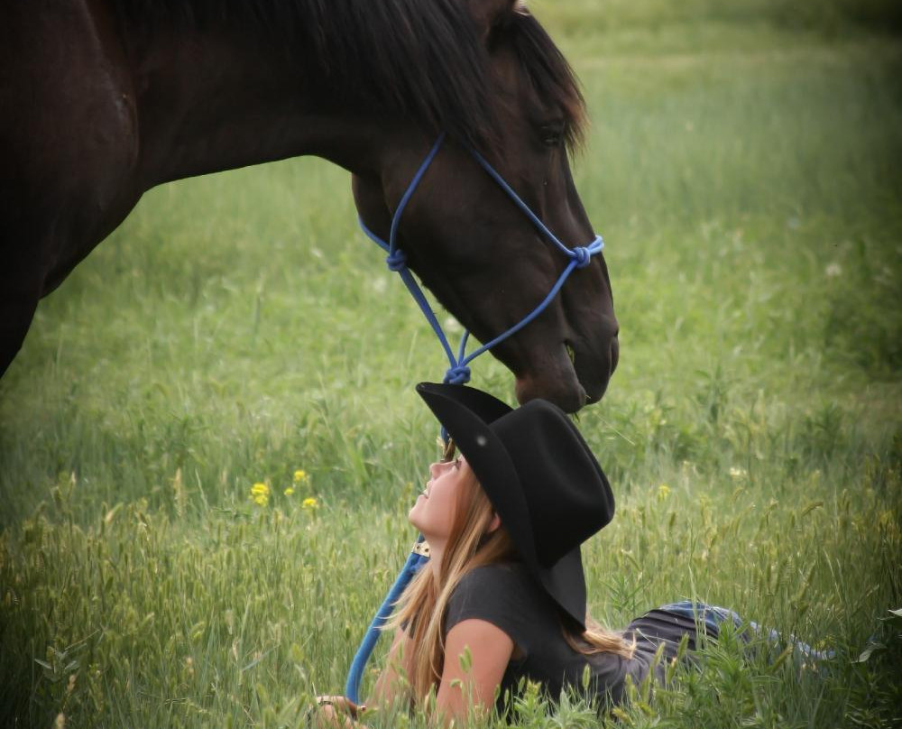 Windcross Conservancy-Buffalo Gap必去景点