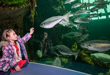 Macduff Marine Aquarium-Macduff必去景点