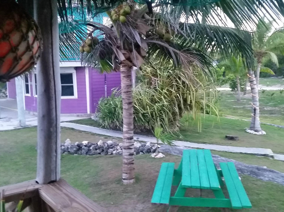 Andros Island Beach Resort