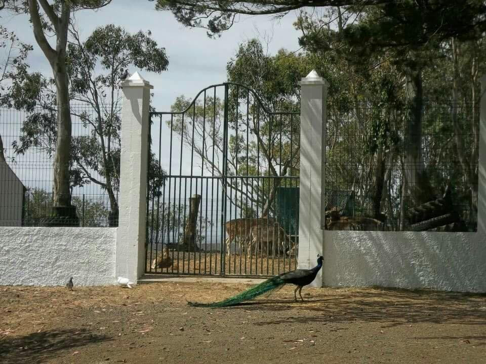 Reserva Florestal de Recreio de Valverde-Santa Maria必去景点