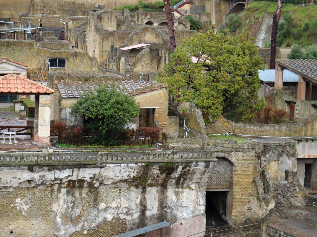 埃尔科拉诺旅游景点-Casa dei Cervi