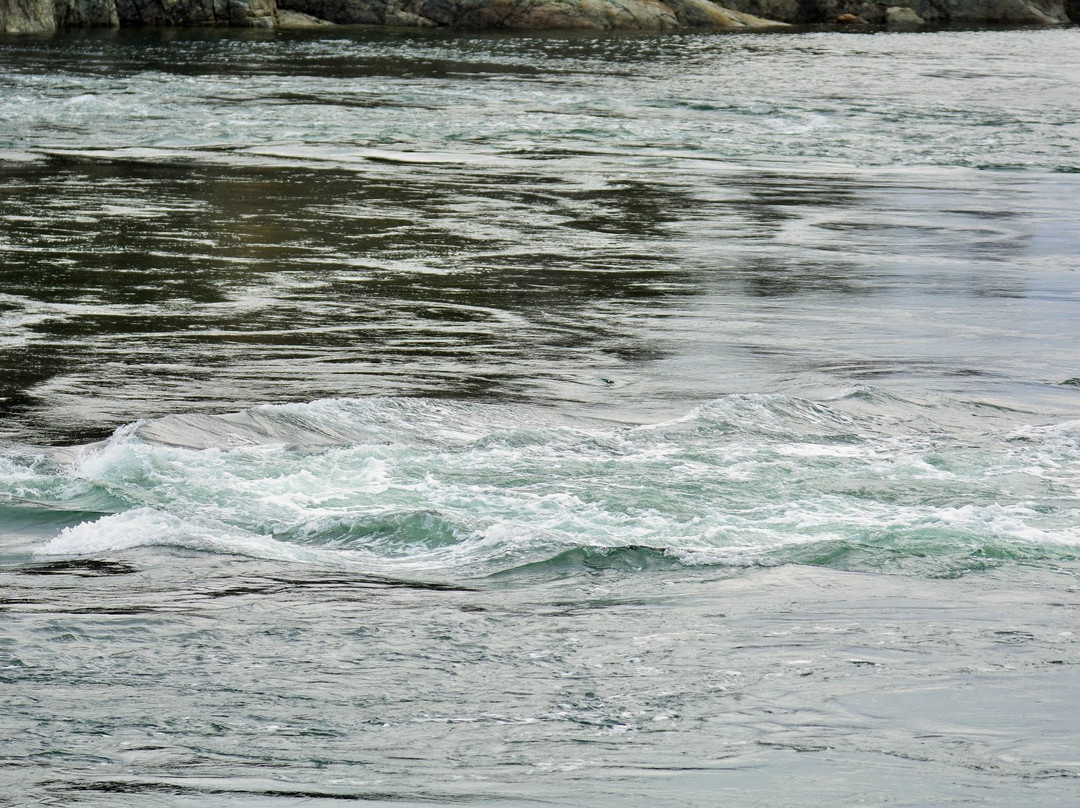 Surge Narrows Provincial Park-Surge Narrows必去景点