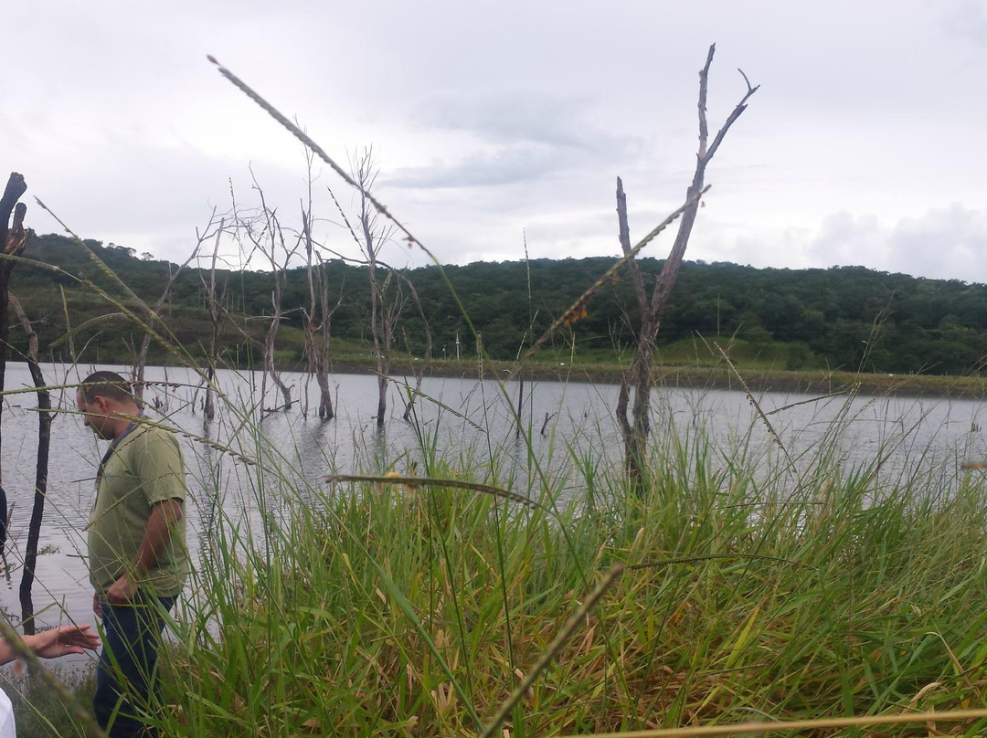 Parque Estadual Altamiro de Moura Pacheco-戈亚尼亚必去景点