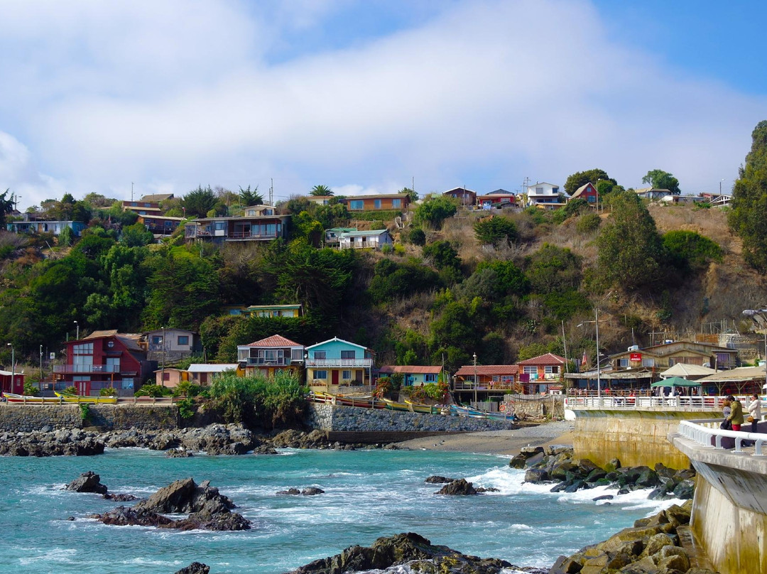 Quintay Vineyards-卡萨布兰卡必去景点