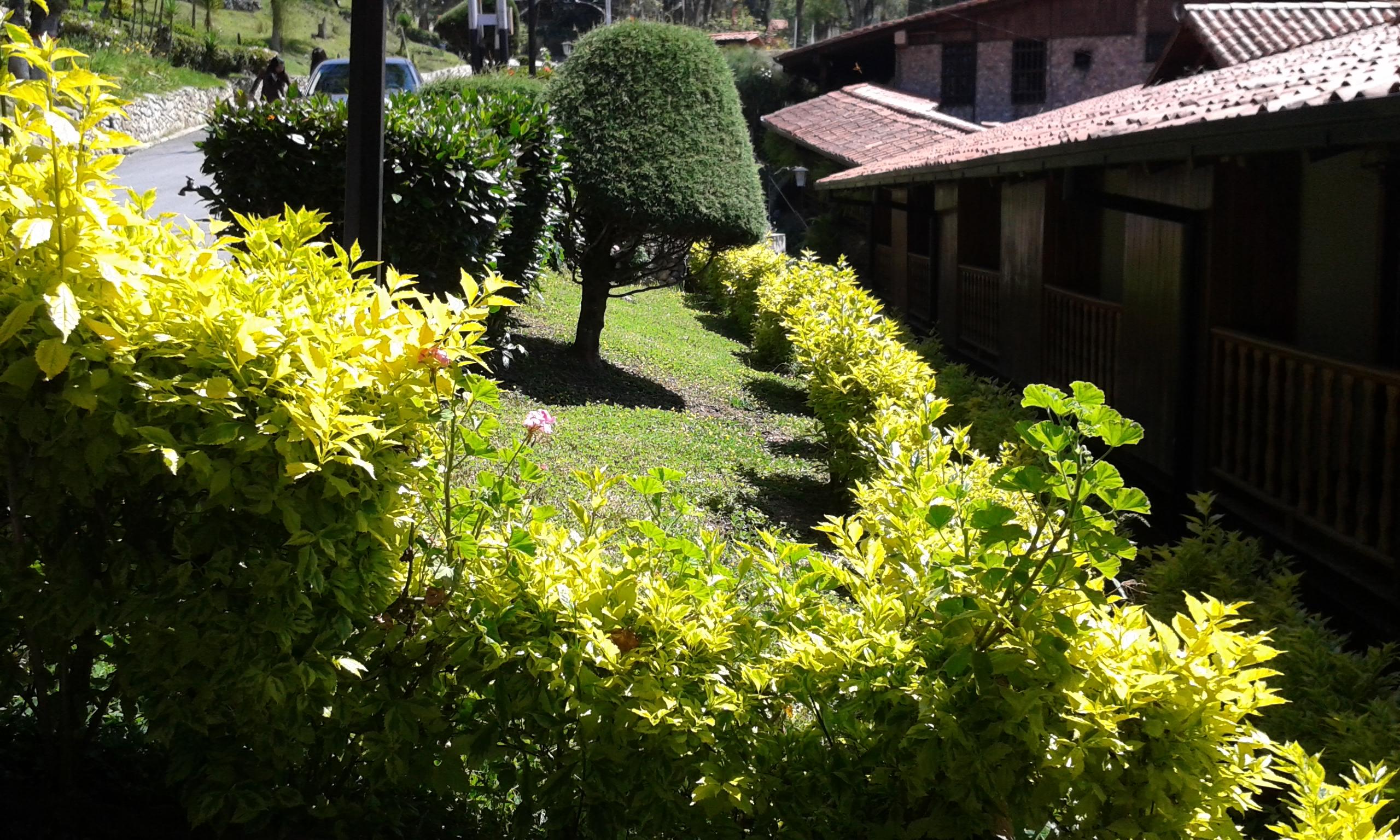 Hotel Valle Grande IPASME-酒店景观
