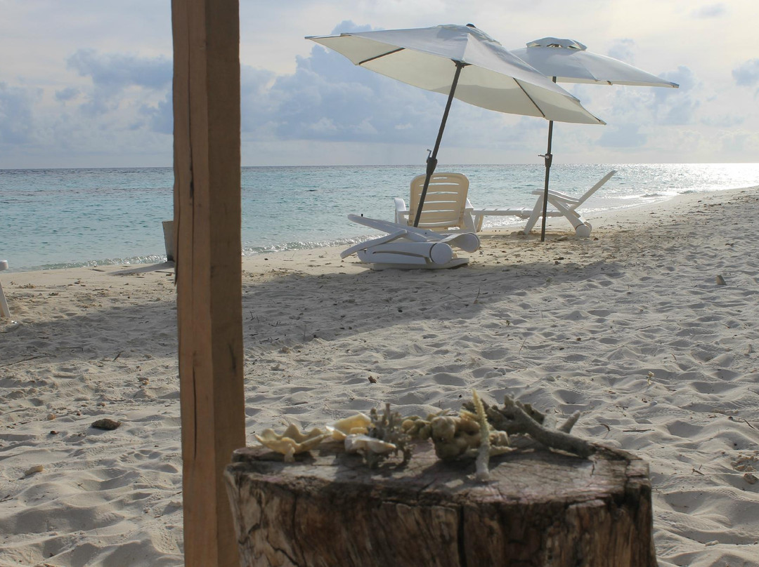 Island Holiday Home主图