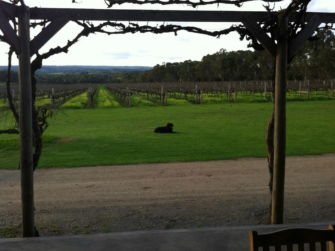 Kangarilla Road Winery景点图片