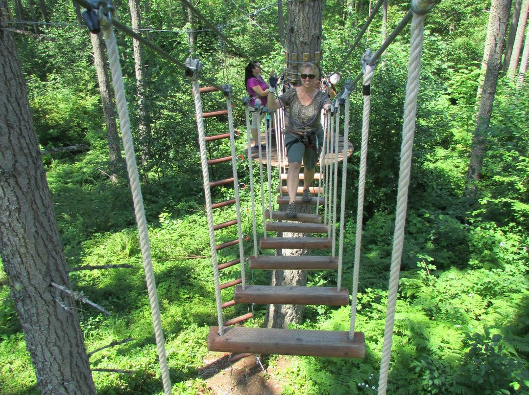 Deep Forest Challenge景点图片