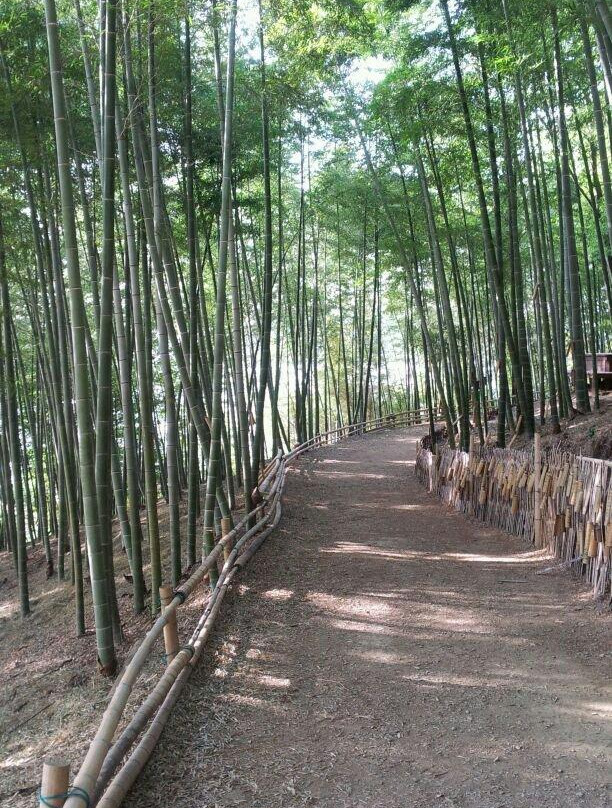 Maengjongjuk Theme Park-巨济市必去景点