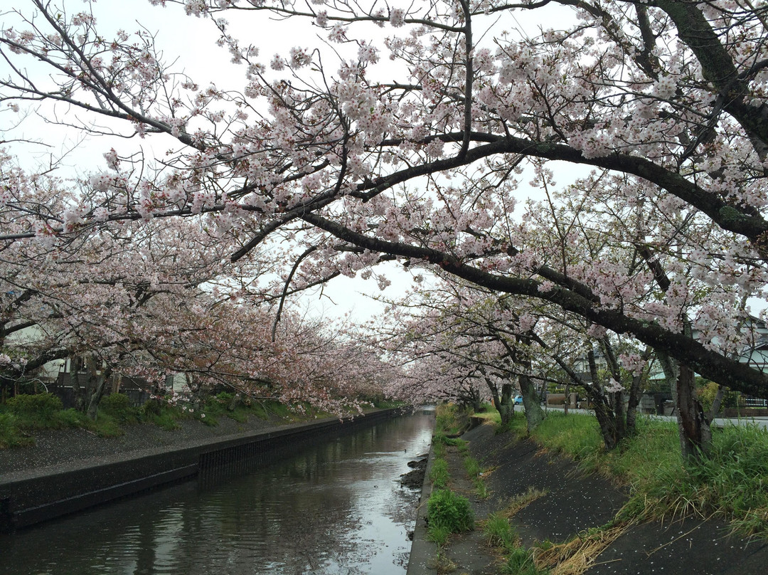 Kiyagawa Ridge景点图片