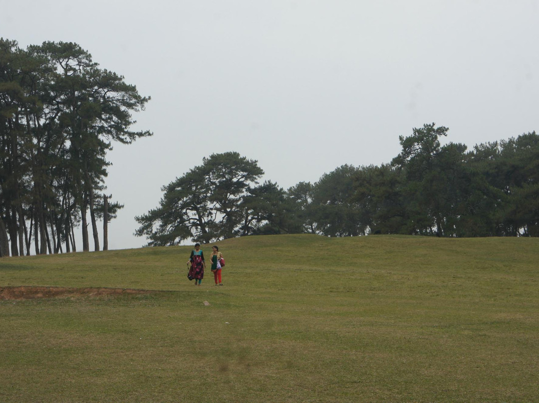 Golf Links景点图片