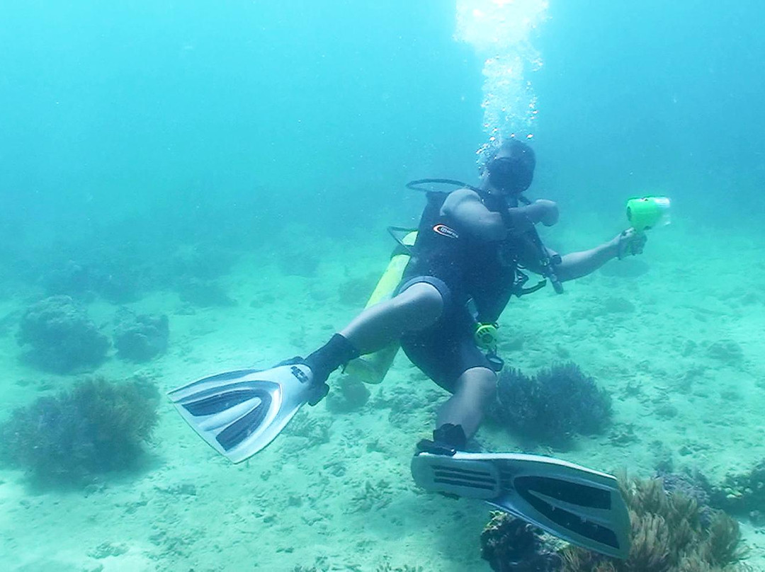 Divepuertoprincesa Dive Center-公主港必去景点