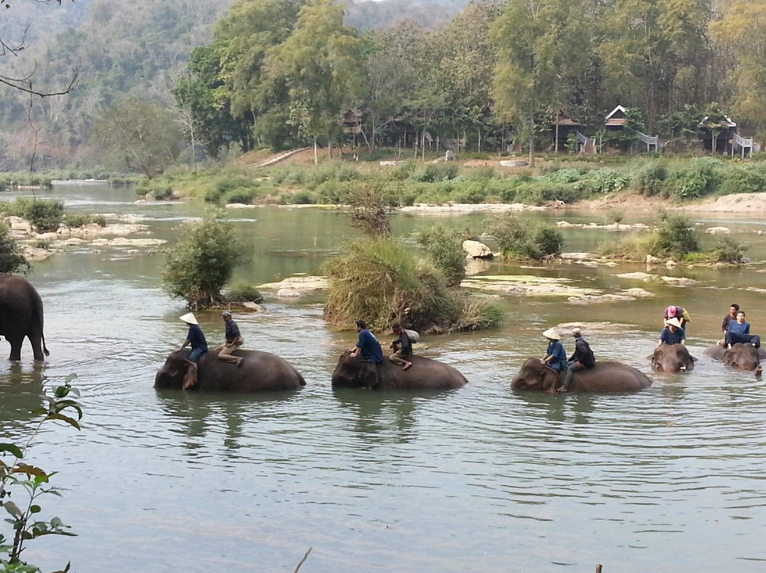 All Lao Elephant Camp-琅勃拉邦必去景点