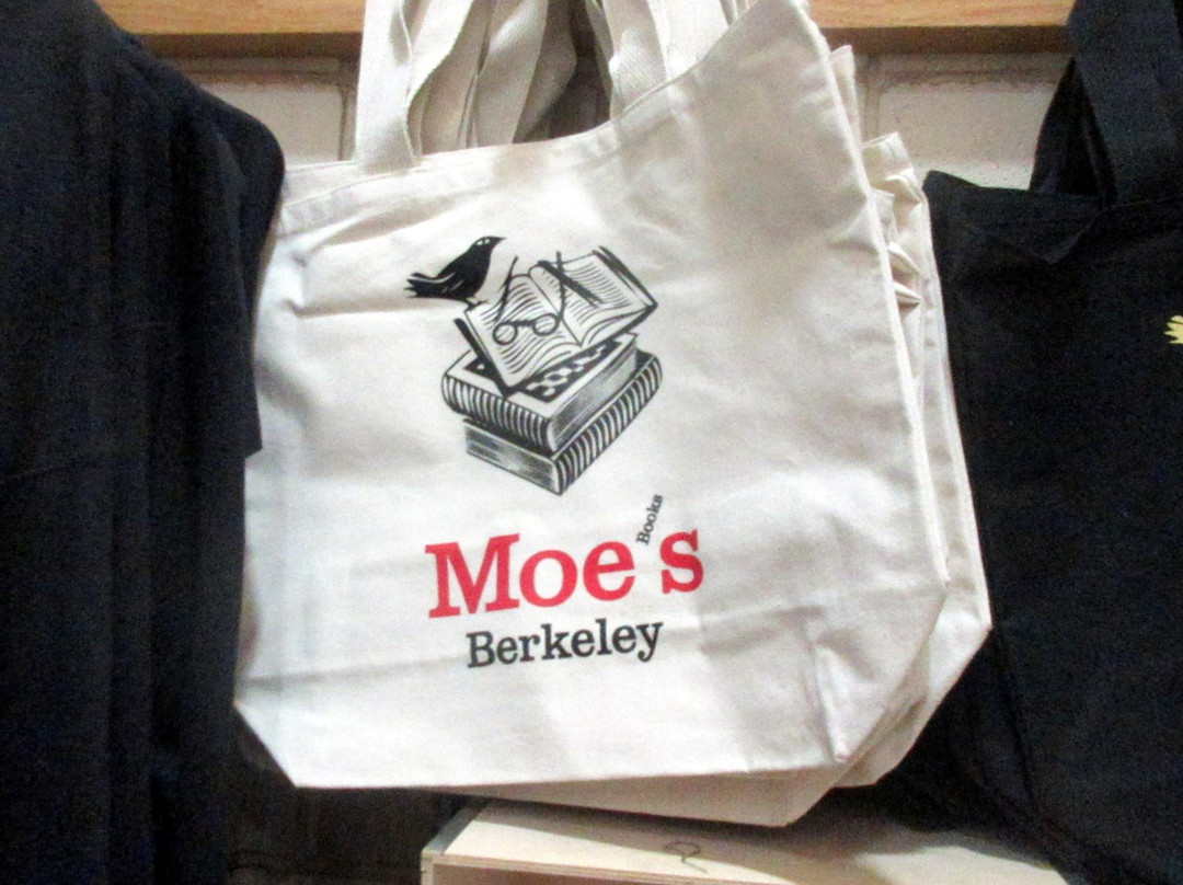 Moe's Books-伯克利必去景点