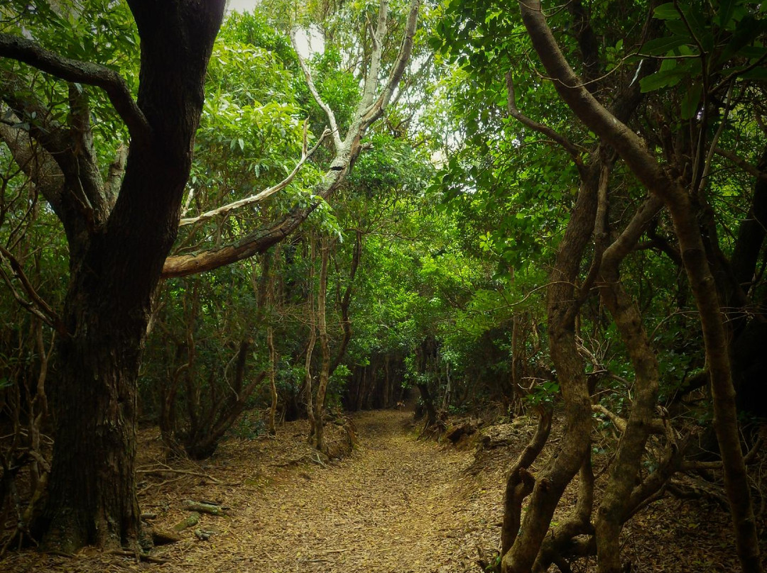 Bootlá-波尔图镇必去景点