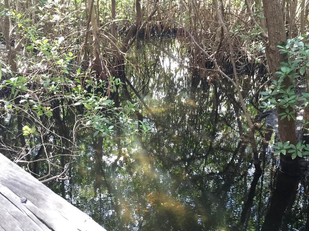 James A. Rutherford Park-博卡拉顿必去景点