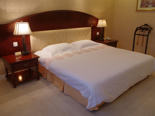 维也纳智好酒店合肥三孝口店主图