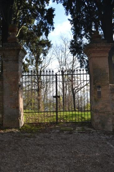 Castello di Montegibbio景点图片