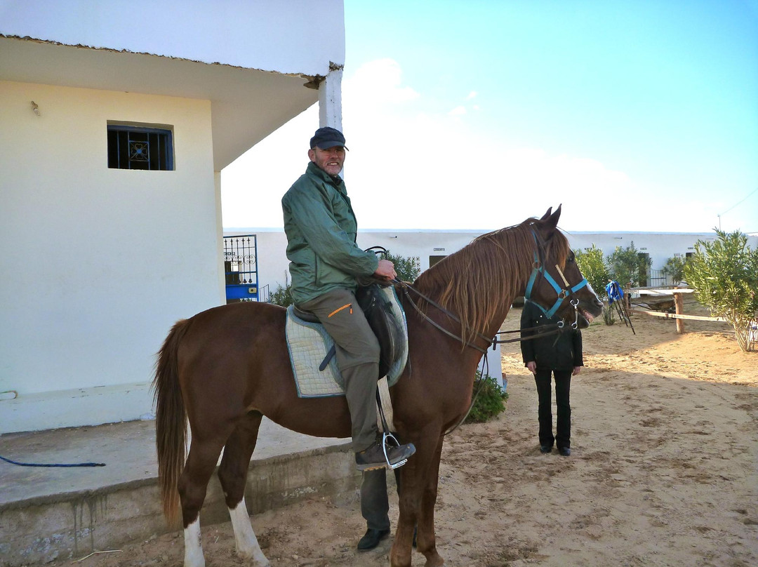 Mezraya Ranch-杰尔巴岛必去景点