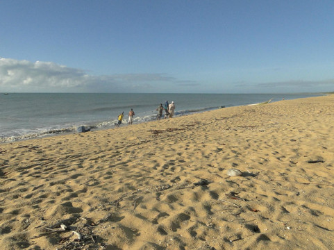 Lugar Comum Beach-Nova Vicosa必去景点