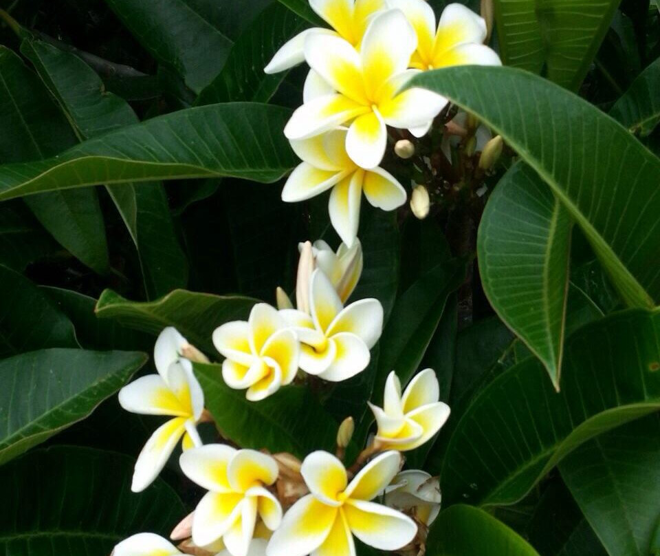 Christ Church Cathedral-纽卡斯尔必去景点