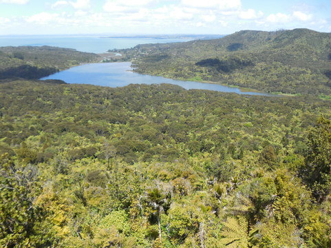 丛林海滩观光之旅-奥克兰中心地区必去景点